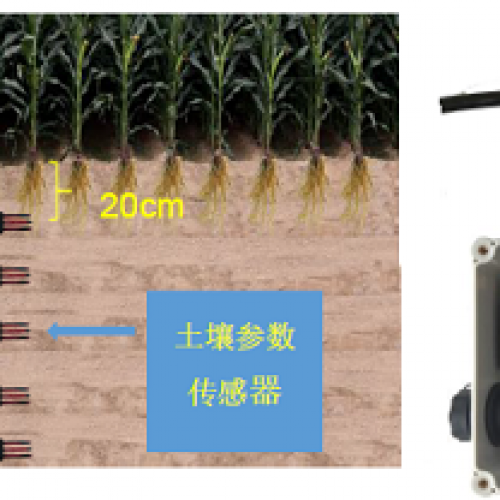 DJ-0211土壤多參數(shù)監(jiān)測網(wǎng)絡